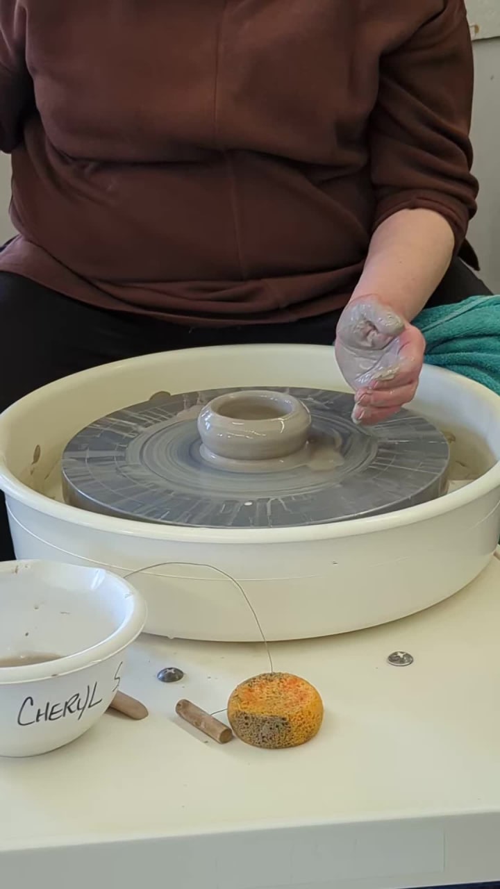 Video review of Shadbolt Centre For the Arts