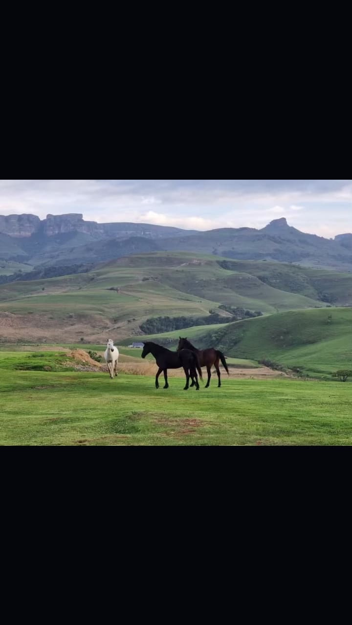 Alpine health resort