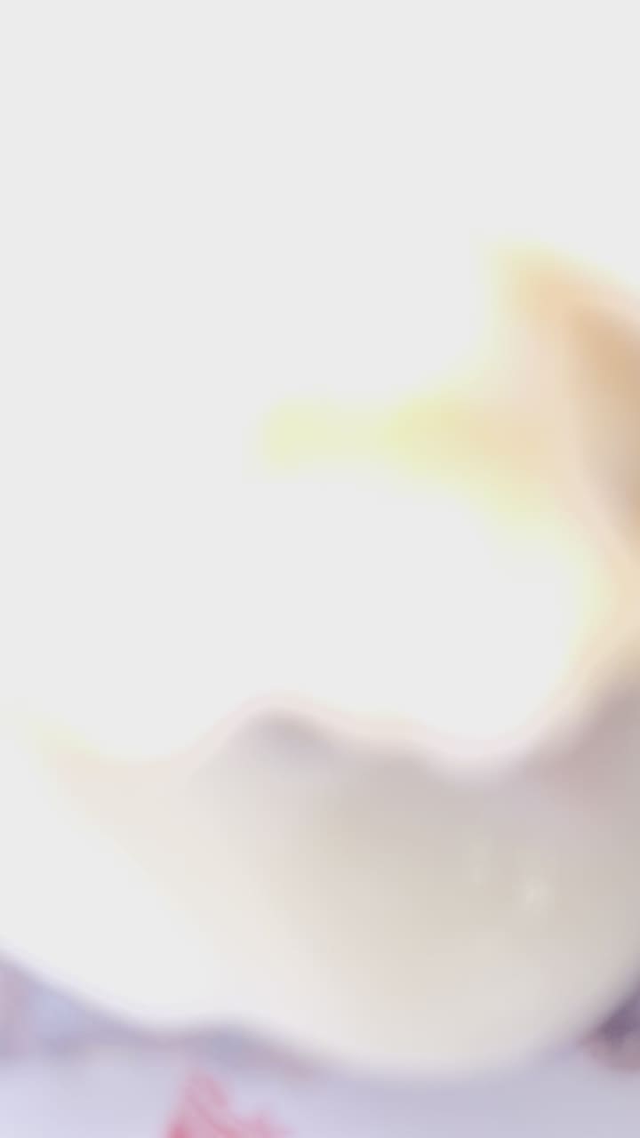 Video review of The Burger Joint