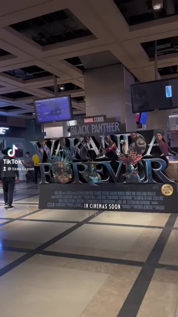 Video review of Power Plant Cinemas