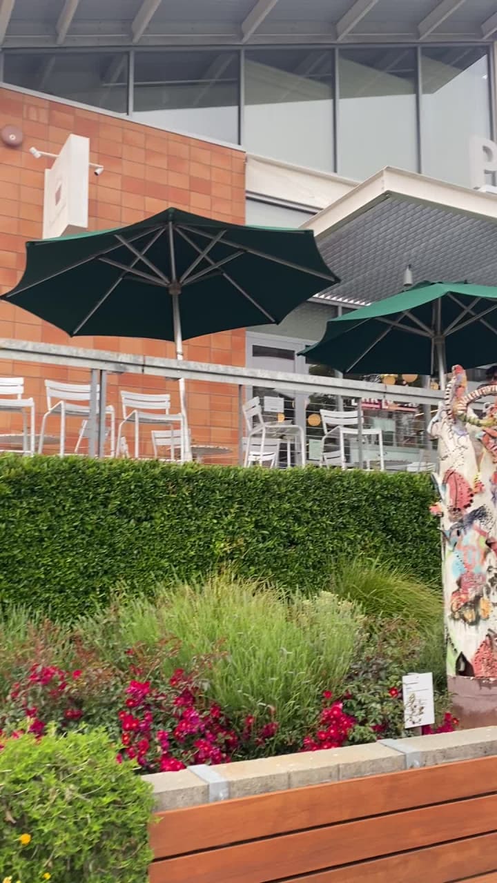 Video review of Oxbow Public Market