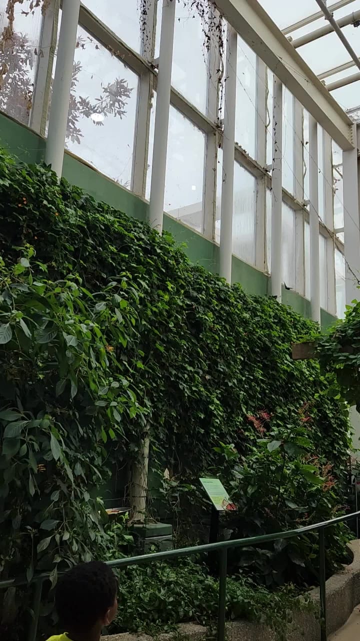 Peggy Notebaert Nature Museum