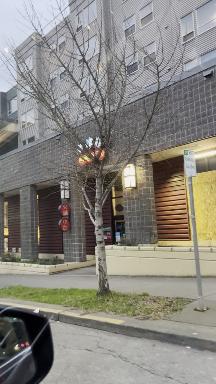 Video review of Gourmet Noodle Bowl