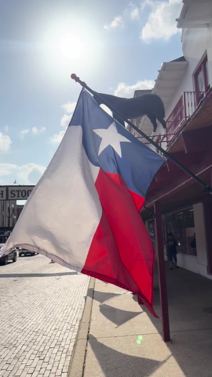 Video review of Love Shack