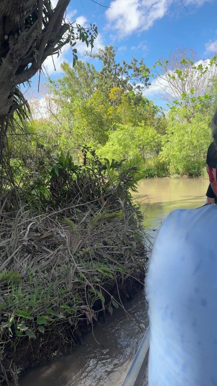 Video review of Bird Road & 117 Ave