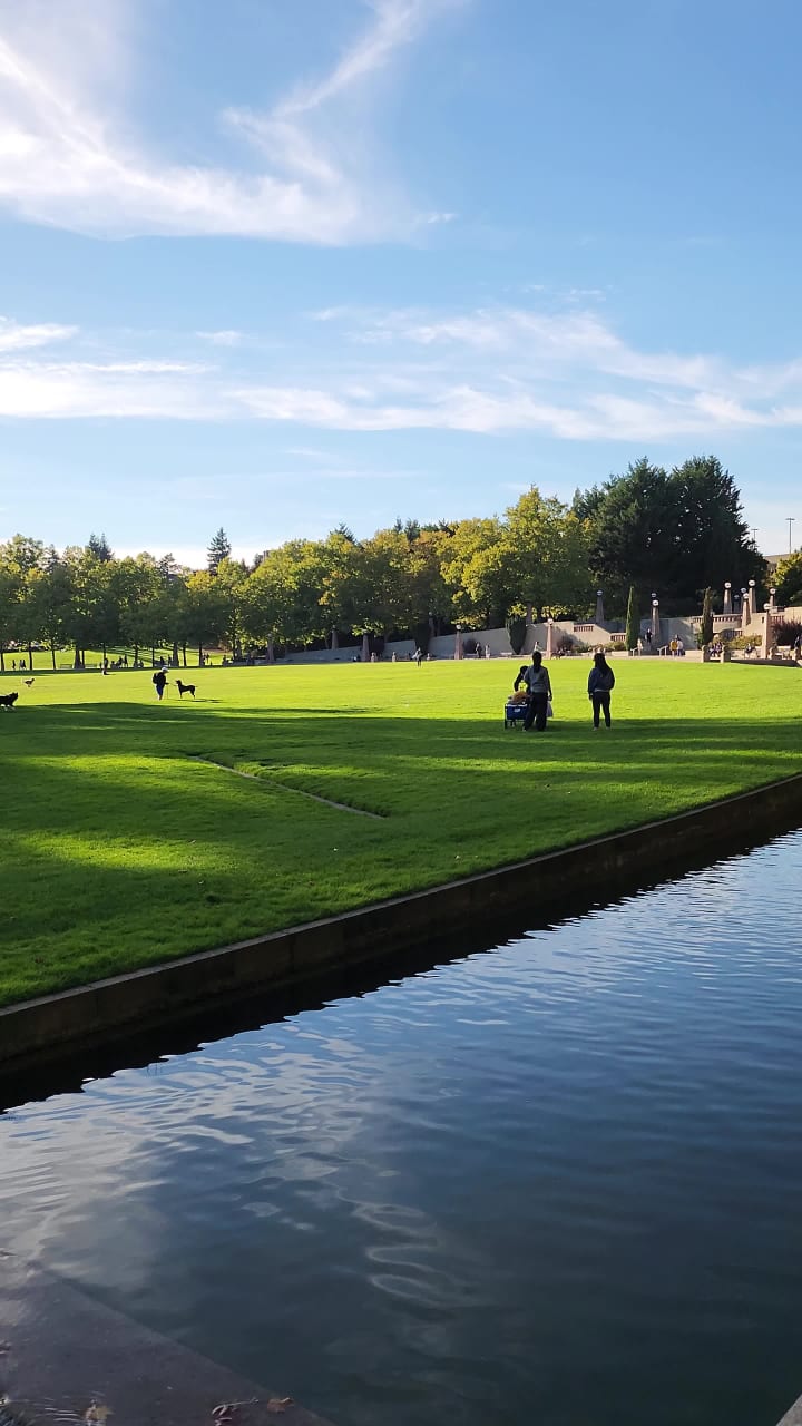 Video review of Bellevue Downtown Park