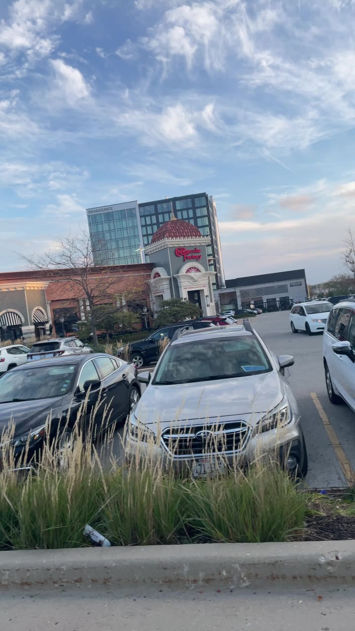 Video review of The Cheesecake Factory