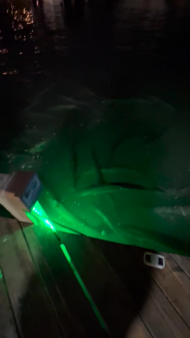 Video review of Hungry Tarpon Restaurant