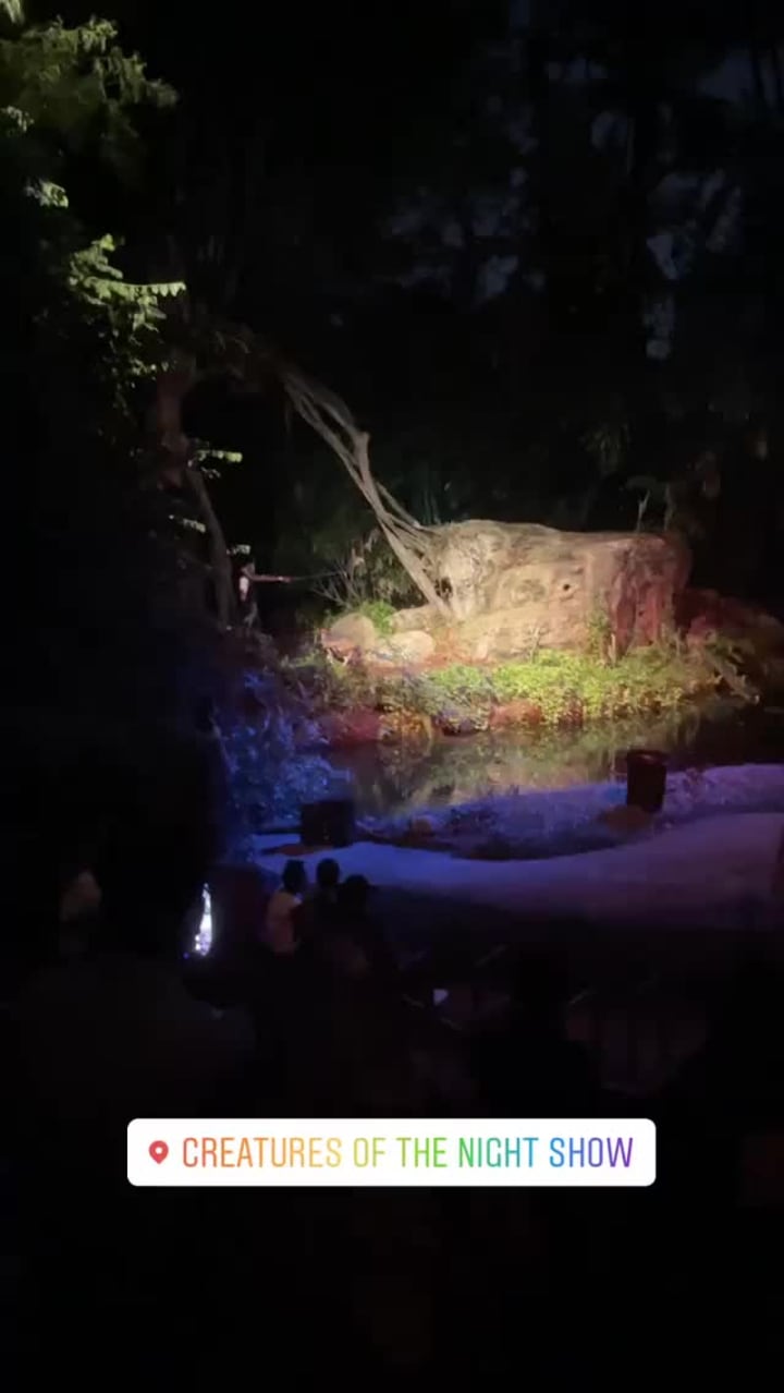 Video review of Night Safari