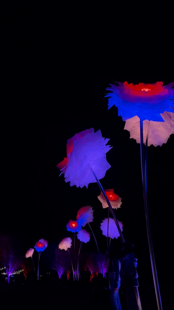 Video review of Maymont