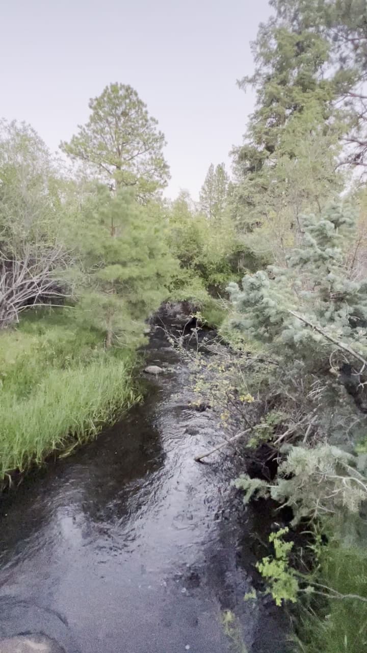 The Family Lodge At Pine Valley