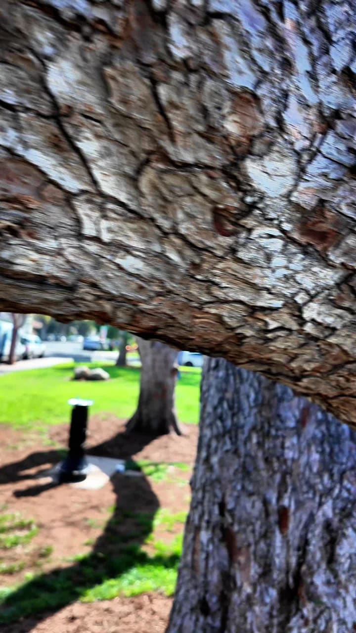 Historic French Park Neighborhood