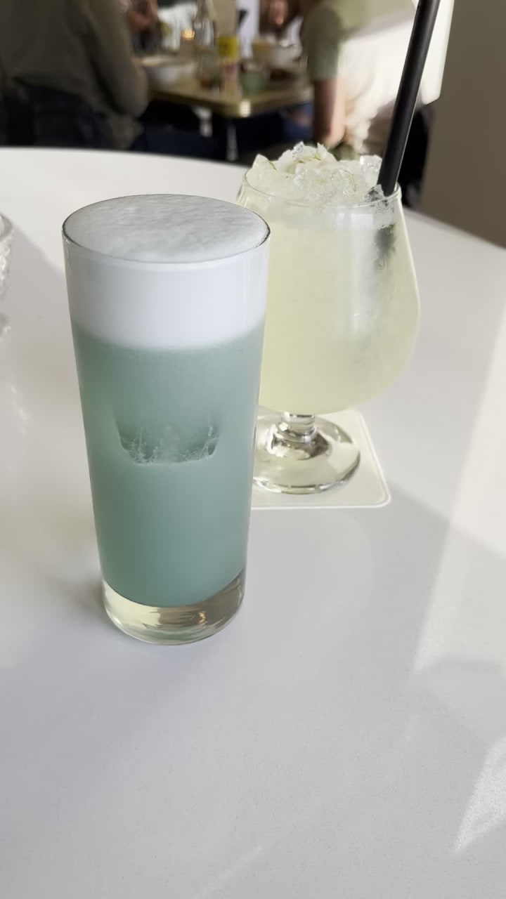 Video review of Palomar