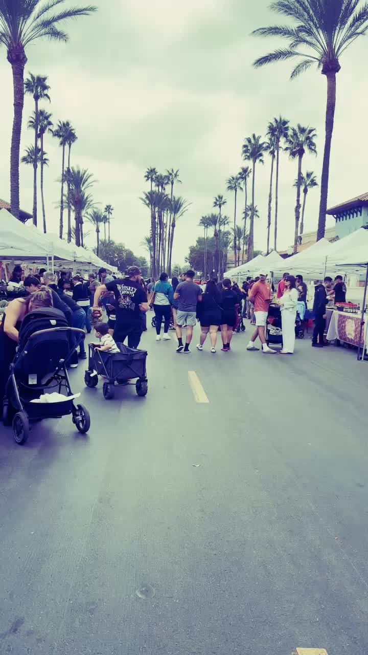 Terra vista farmers market 