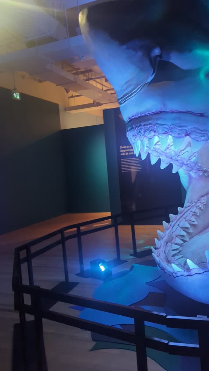 Royal Ontario Museum - ROM Governors