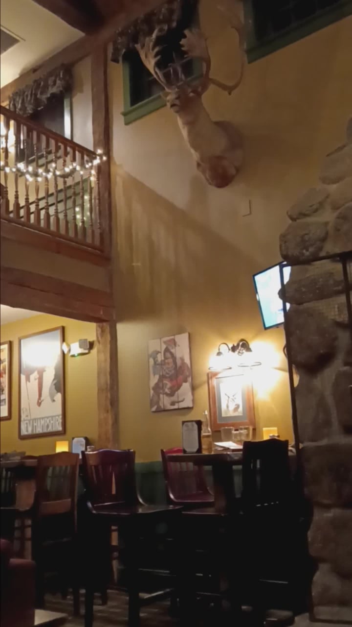 Video review of The Common Man