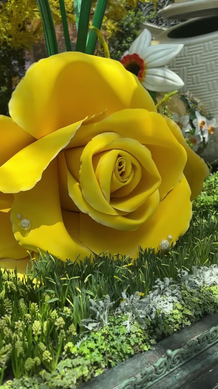 Video review of Bellagio Conservatory & Botanical Gardens