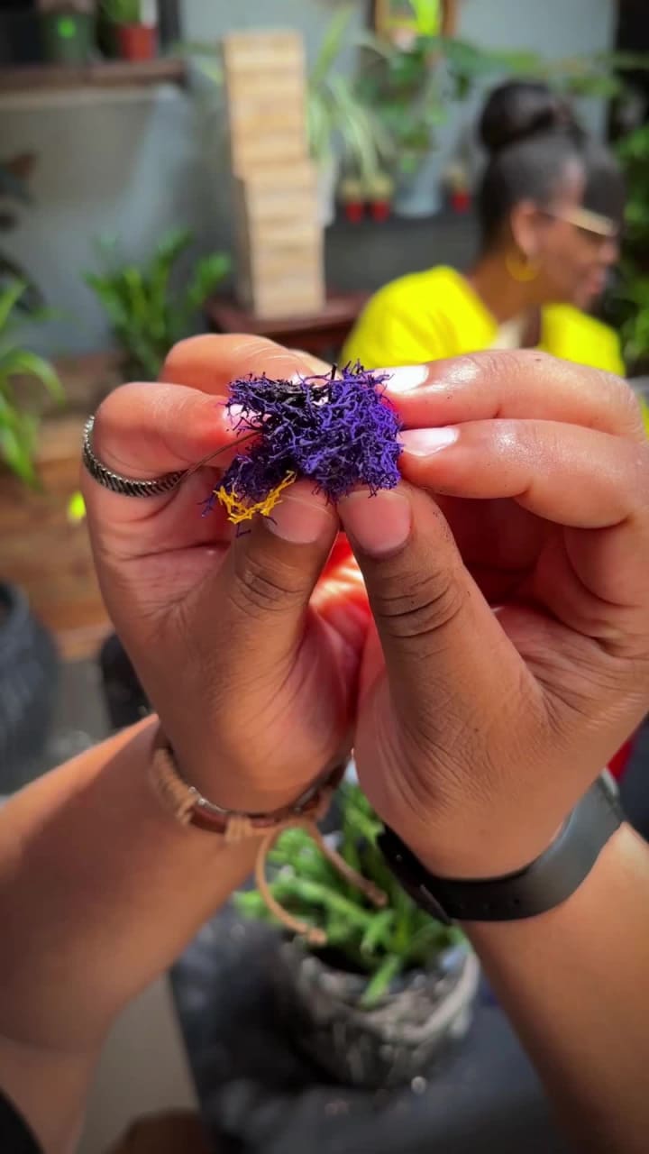 Energy Garden Terrarium