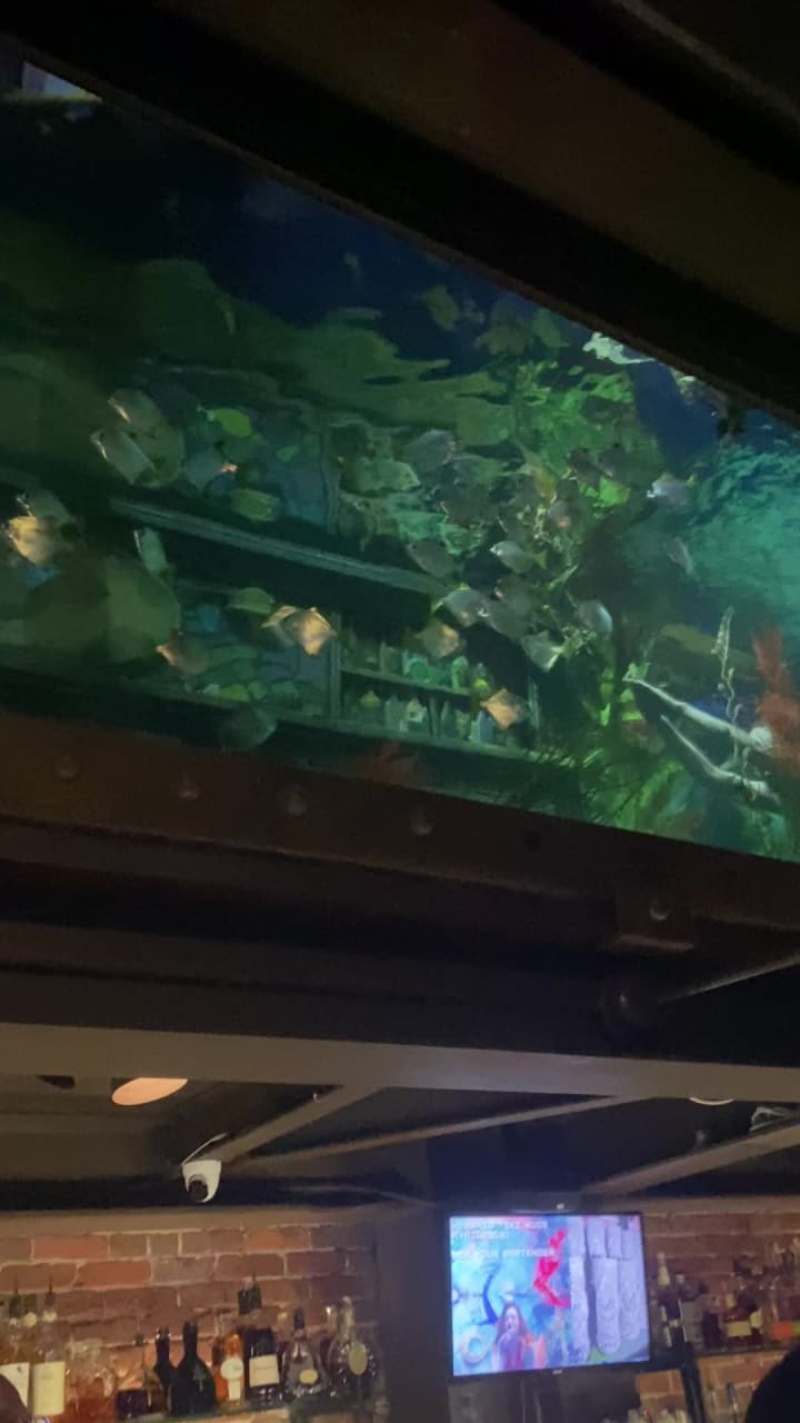 Video review of Dive Bar