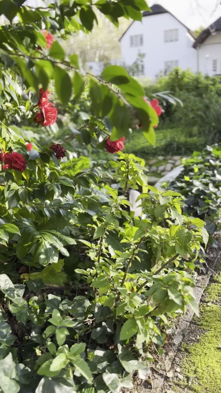 Le Franschoek - Hotel & Spa