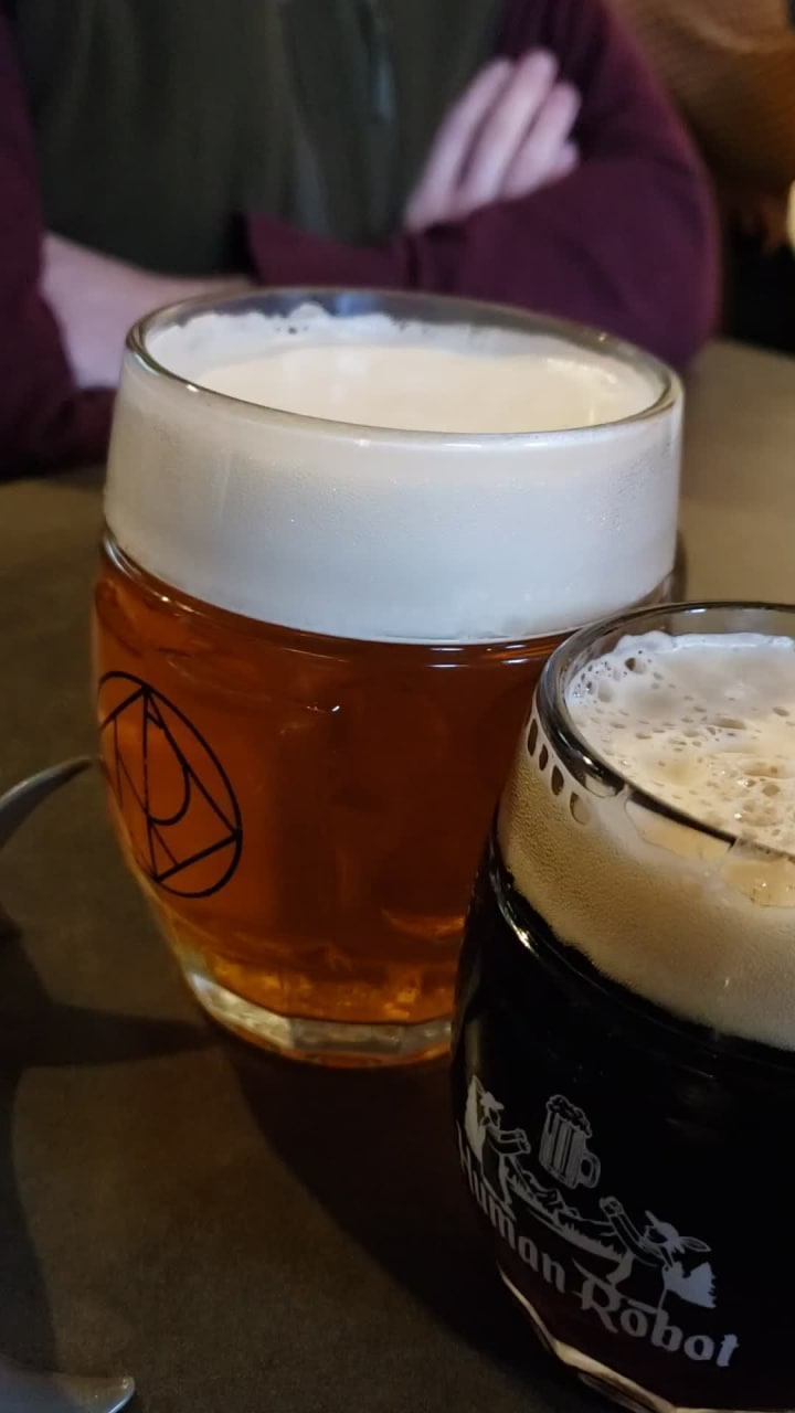 Video review of Human Robot