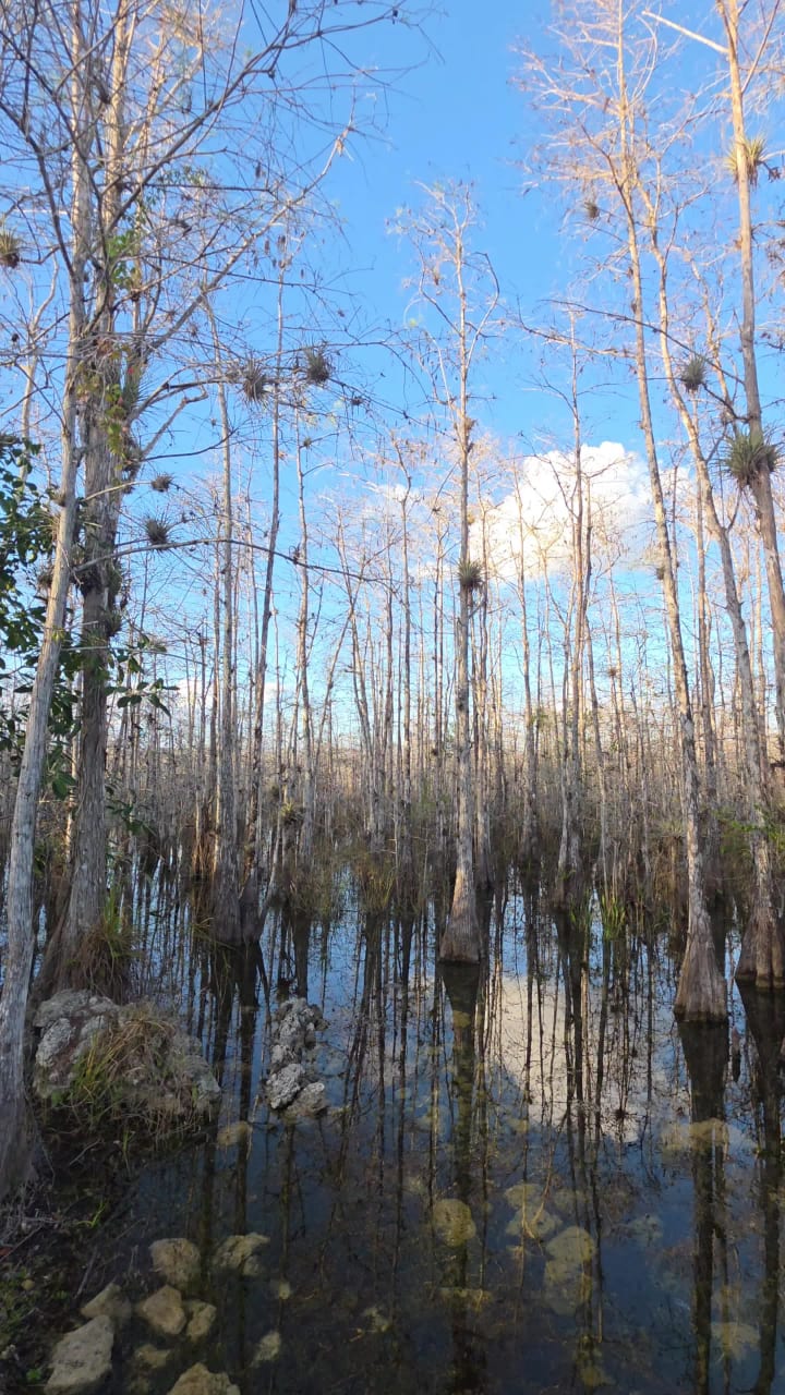 Ernest F. Coe Visitor Center