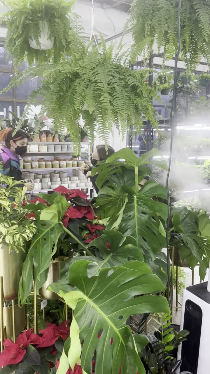 Peace Love and Happiness Club