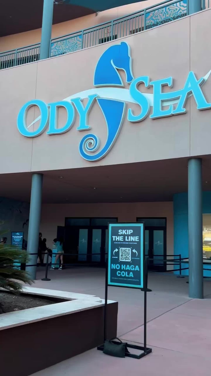 OdySea Aquarium