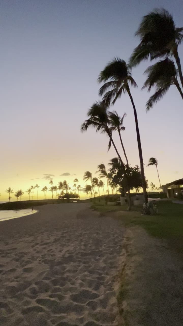 Video review of Lagoon 3