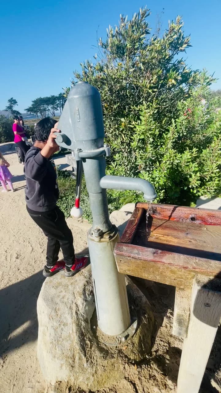 Presidio Tunnel Tops