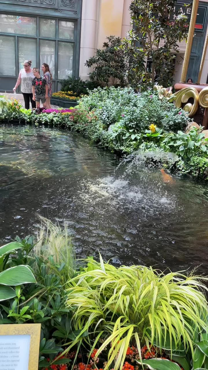 Bellagio Conservatory & Botanical Gardens