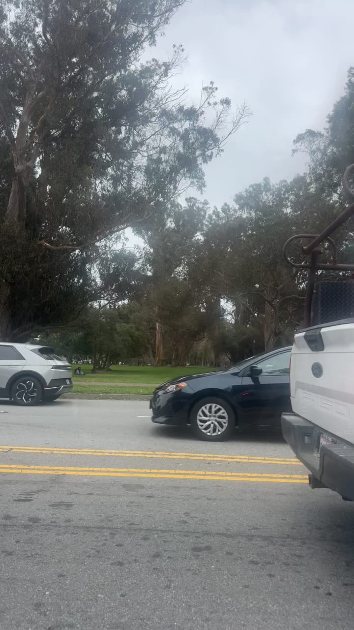 Video review of Amitis Cafe