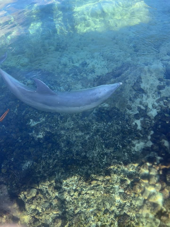 Video review of Hilton Waikoloa Village