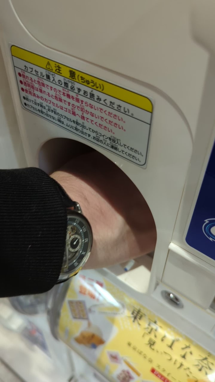 Video review of Yodobashi-Akiba (ヨドバシカメラ マルチメディアAkiba)