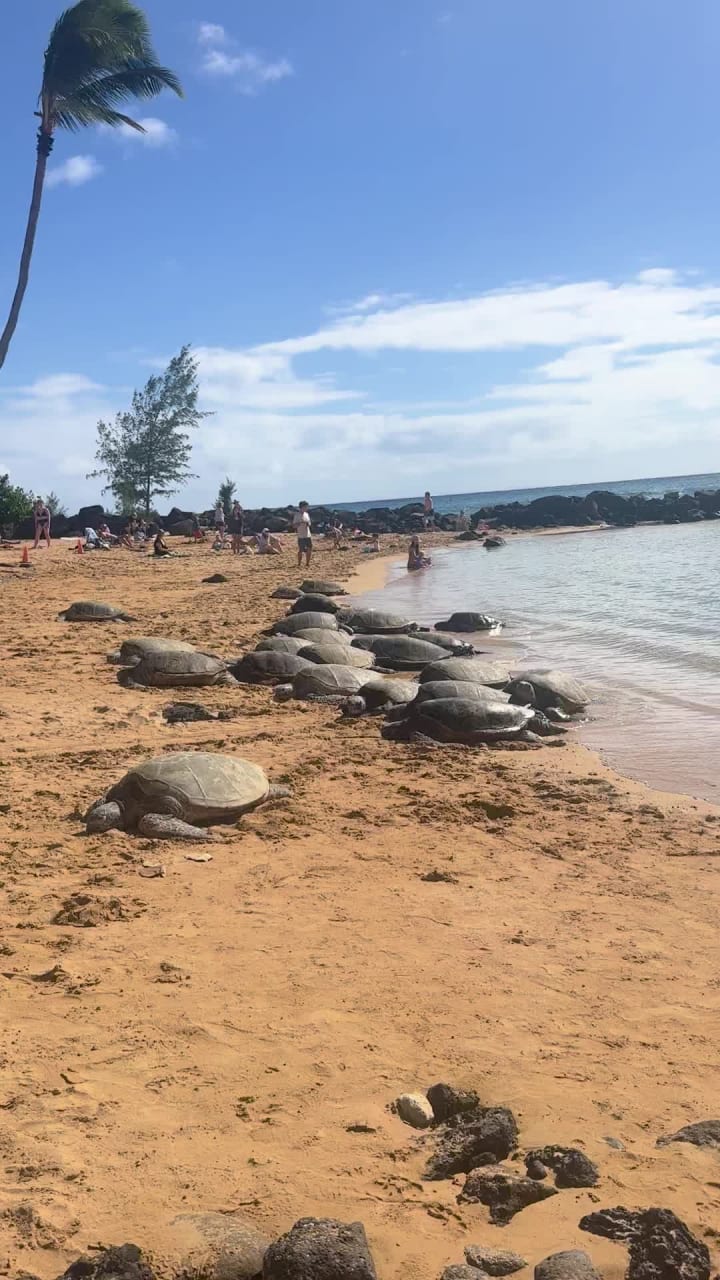 Poipu Beach Park