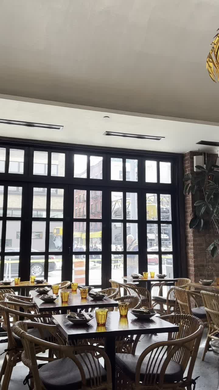 Video review of The Tyger