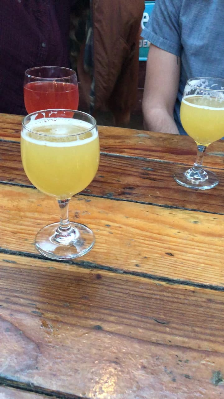 Video review of The Sycamore