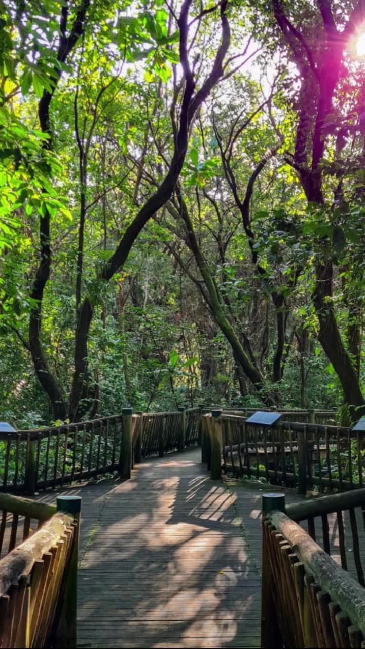 Botenical garden mbombela