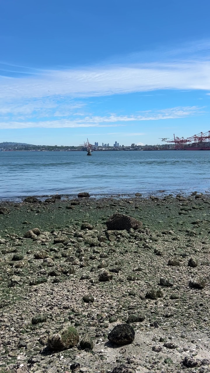 Stanley Park Harbourfront Seawall