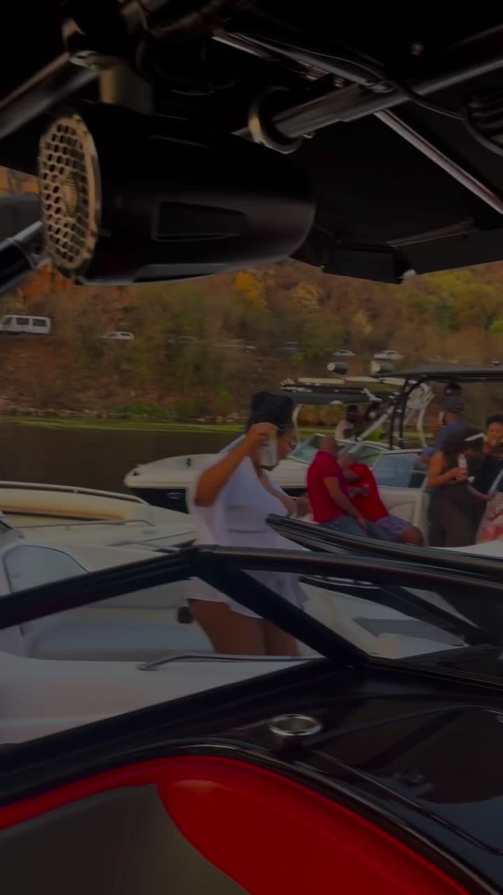 Haartebees North west province South African