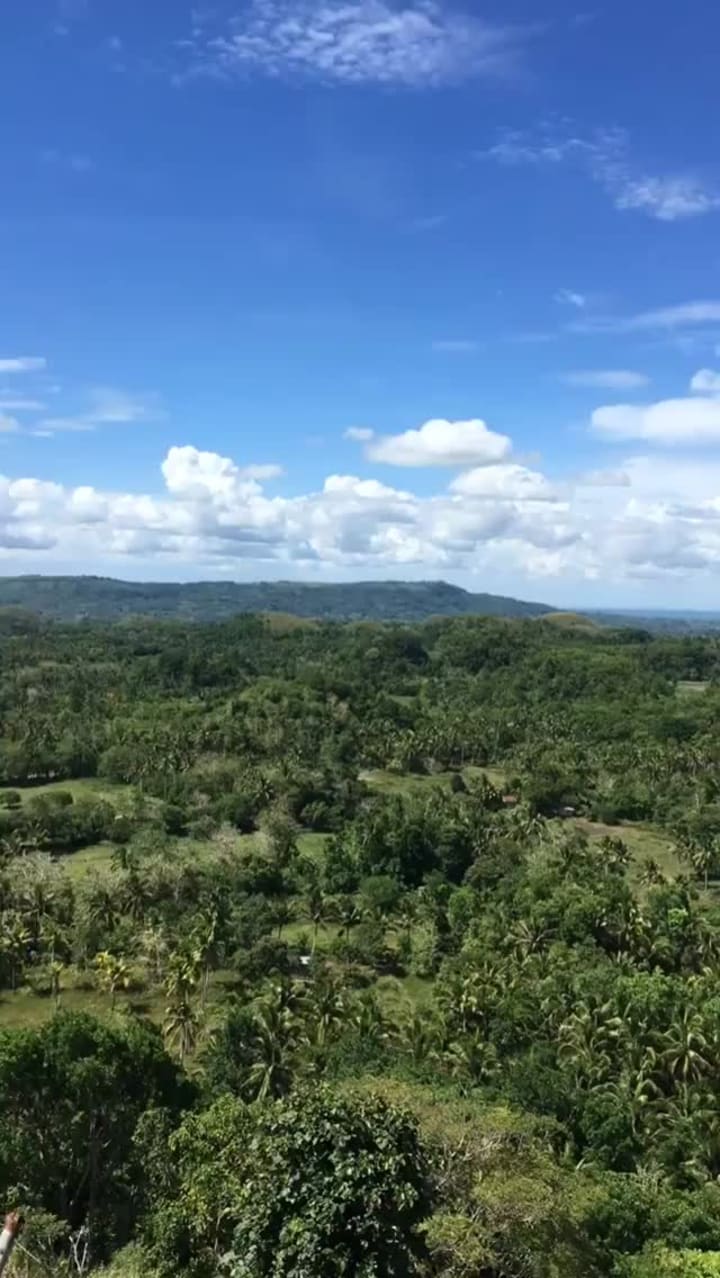 Mini Chocolate Hills Of Cebu