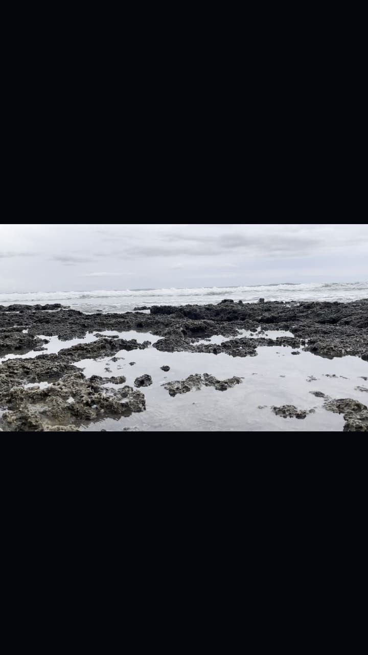 Video review of Urbiz Garden Bed & Breakfast