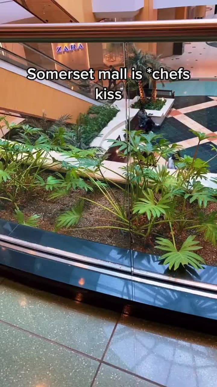 Somerset Collection Skywalk