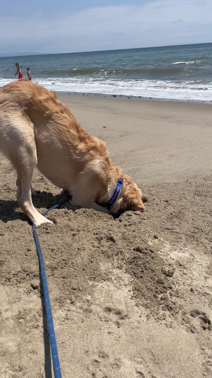 Video review of Brewco Social