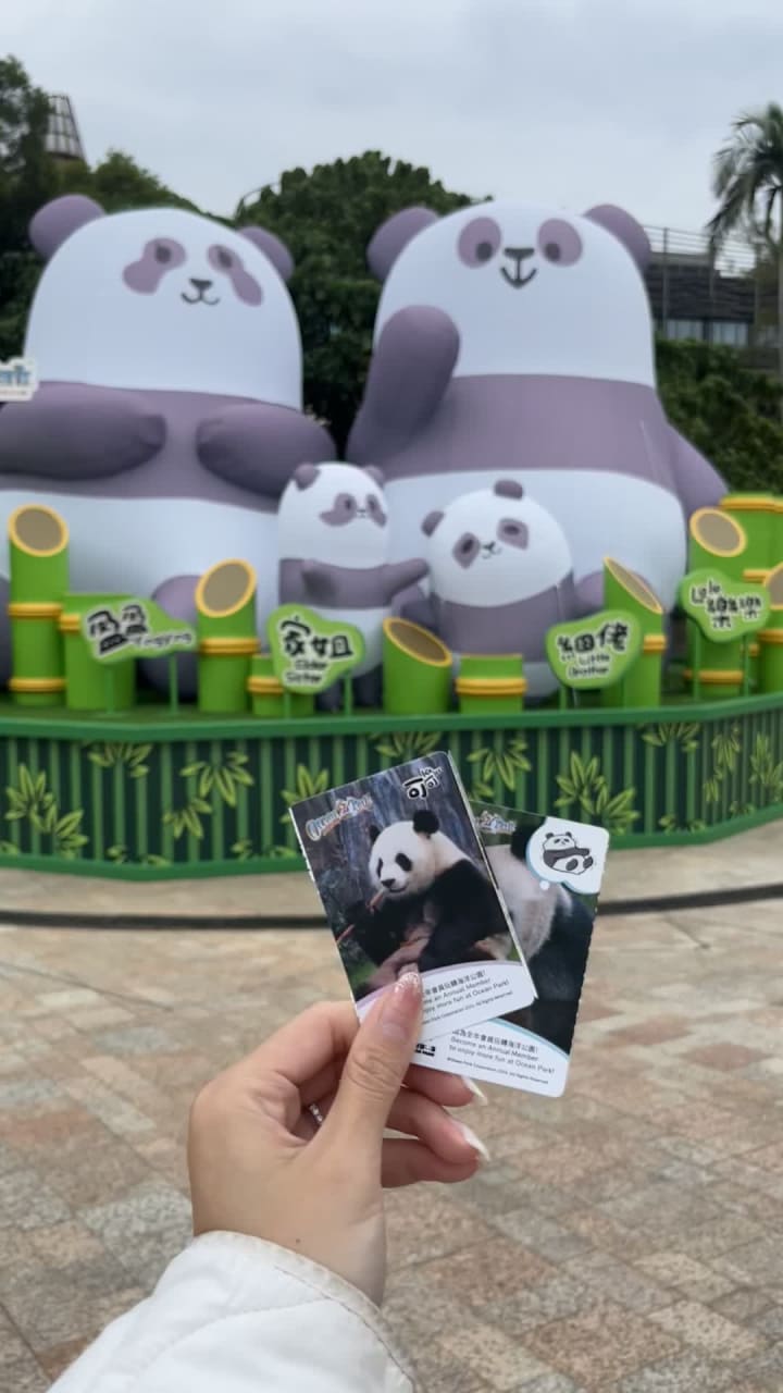 Video review of Giant Panda Adventure (大熊貓之旅)