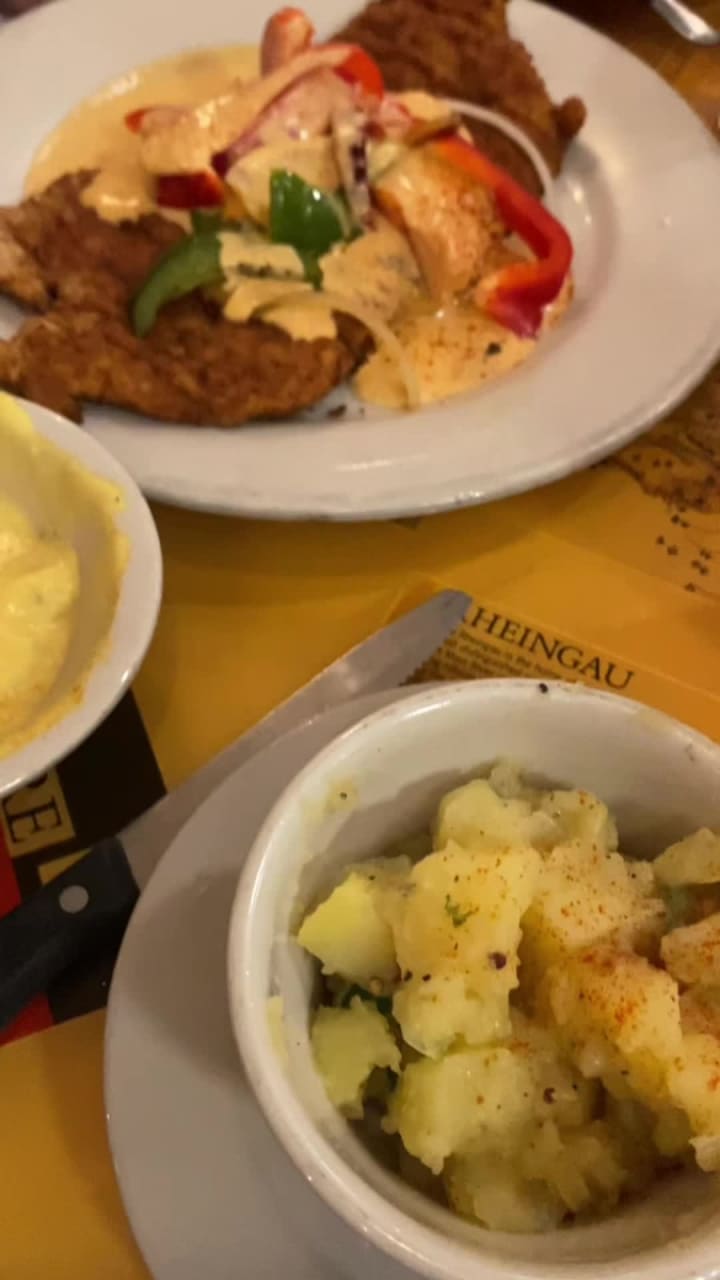 Video review of Mr Dunderbak's