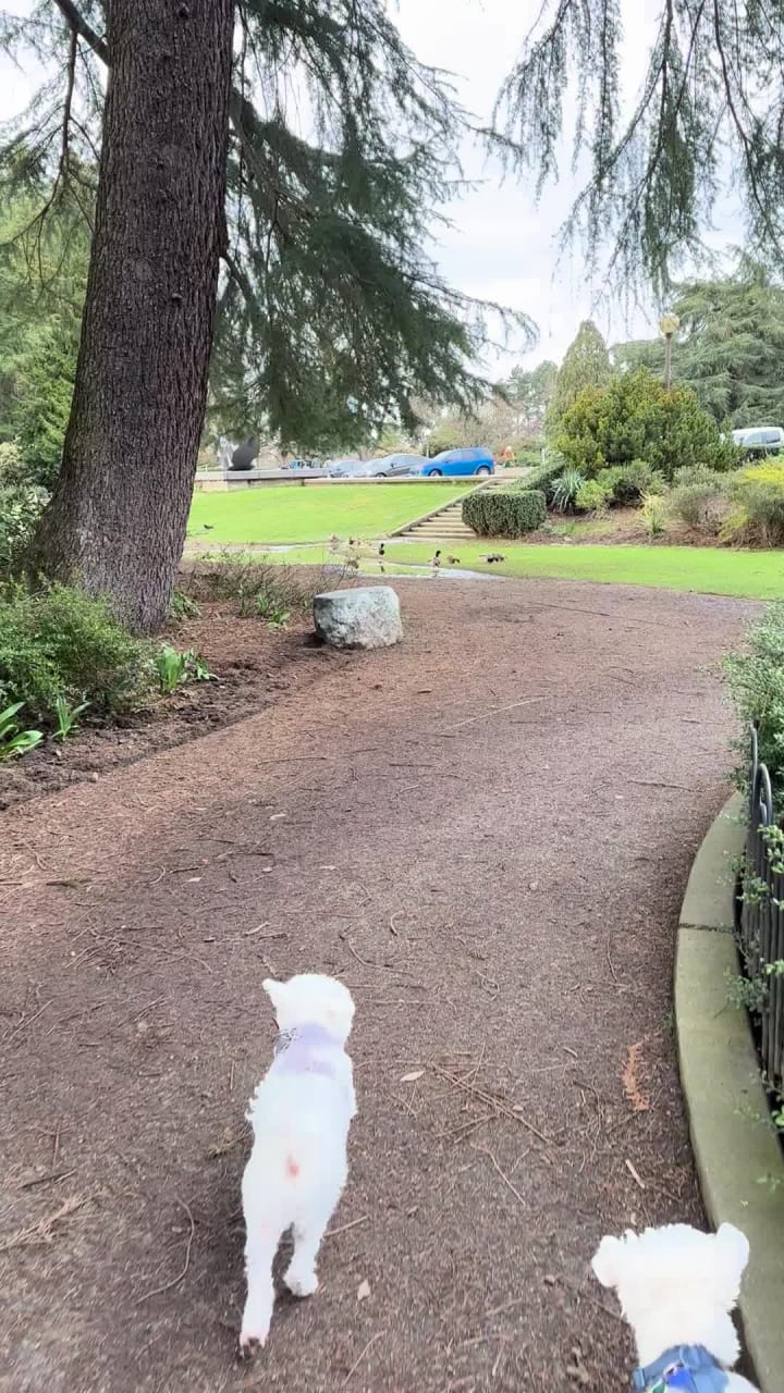 Video review of Volunteer Park