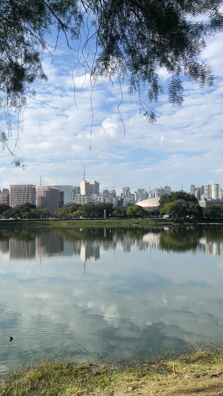 Video review of Ibirapuera Park (Parque Ibirapuera)