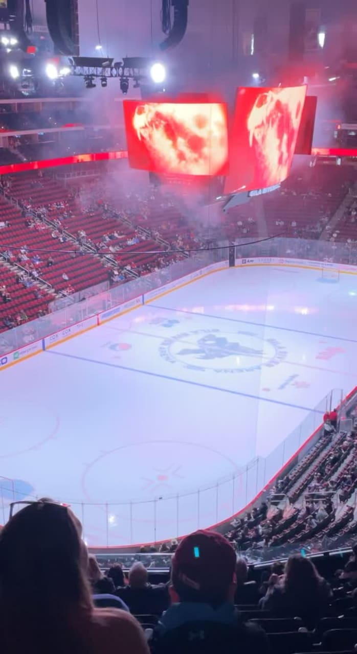 Video review of Gila River Arena