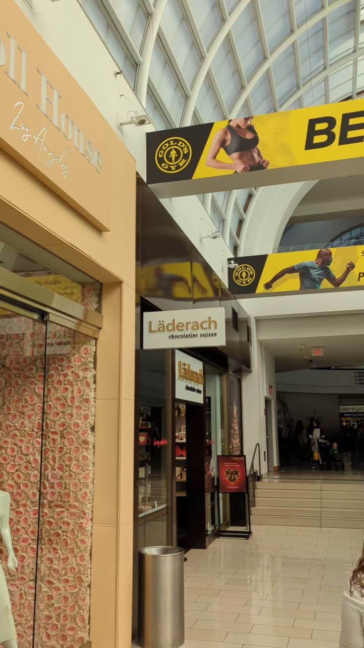 Video review of South Coast Plaza